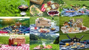 OUTDOOR PICNICS