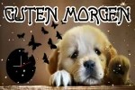 Guten-Morgen.mp4 auf www.funpot.net