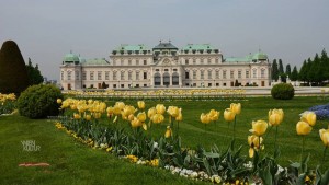 Gustav Klimt at Belvedere Vienna