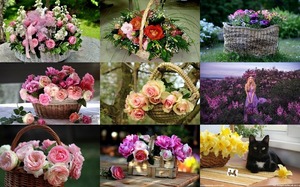 Flower Baskets 1 - Blumenkrbe 1