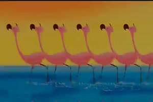 Flamingo- Dance
