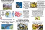 Blütenpracht-genießen.pps auf www.funpot.net