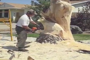 toller-Kuenstler-bearbeitet-Baum.mp4 auf www.funpot.net