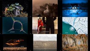 Photo of Day from Siena International Photography Awards 202