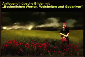 Tolles Video - SUPER SONG