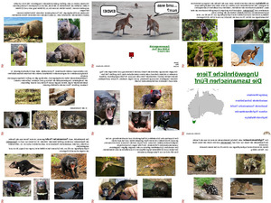 ungewhnliche Tiere - die tasmanischen Fnf