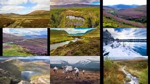 Cairngorms National Park - Schottland