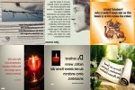 . auf www.funpot.net