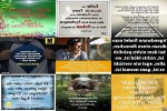 . auf www.funpot.net