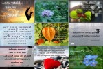 . auf www.funpot.net