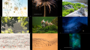 GDT Nature Photographer of the Year 2021 - Winners -