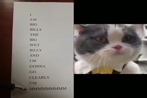 Katze-spricht-ziemlich-undeutlich.mp4 auf www.funpot.net
