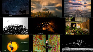 Nature TTL Photographer of the Year 2021 1