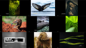 The 18th Annual Smithsonian Photo Contest Winners