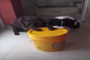 Tischgebet.mp4 auf www.funpot.net