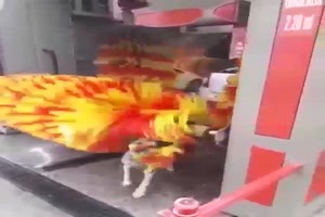 Hund in der Autowaschbahn
