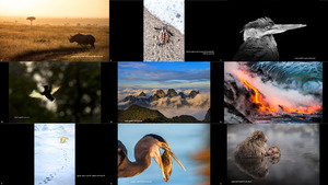 2016 National Geographic Nature Photographer of the Year 4