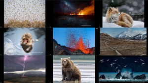 2016 National Geographic Nature Photographer of the Year 5