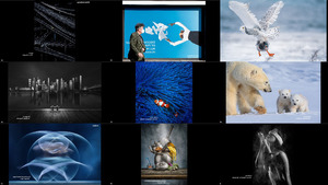 35AWARDS - 6TH International Photo Awards 2-2