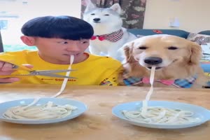 Spaghetti Challenge