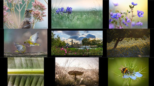 rhsphotographiccompetition2017winnersfinalists