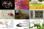 . auf www.funpot.net