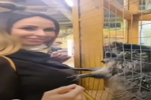 Lustiger-Waschbär.mp4 auf www.funpot.net