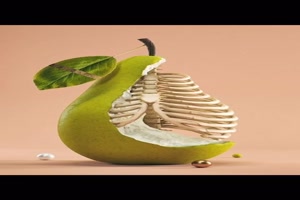 Das-Auge-isst-mit.mp4 auf www.funpot.net