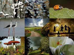 ColourUp.pps auf www.funpot.net