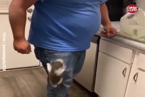 Anhängliche Tiere