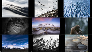 2016 National Geographic Nature Photographer of the Year 9