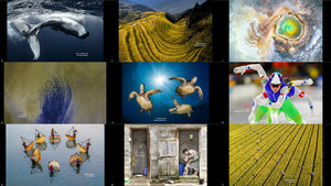 Photo of Day from Siena International Photography Awards 202