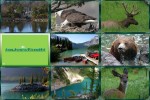 Kanada.pps auf www.funpot.net