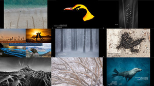 Australian Geographic Nature Photographer of the Year Compet