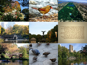 herbst-im-central-park-new-york.pps auf www.funpot.net