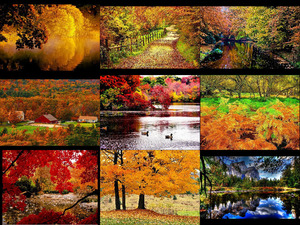 autumnalmanac1.pps auf www.funpot.net