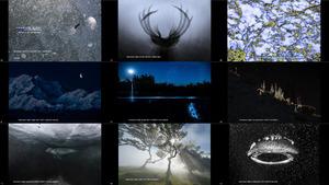 Asferico International Nature Photography Competition 2021