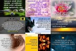 . auf www.funpot.net