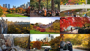 New York Herbst Central Park