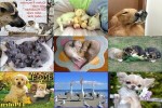 . auf www.funpot.net