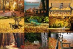 Bänke-im-Herbst.pps auf www.funpot.net