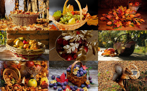 Autumn Baskets - Herbstkrbe