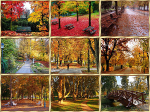 Parks im Herbst