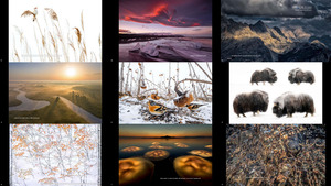 European Wildlife Photographer Of The Year 2021 2-1