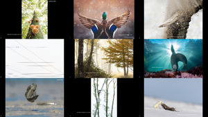 GDT Nature Photographer of the Year 2021 2-1