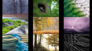 GDT Nature Photographer of the Year 2021 2-2
