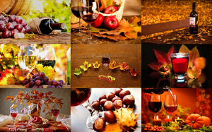 Autumn Wine 1 - Herbstwein 1