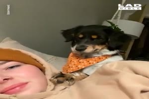 Hund-ist-sauer.mp4 auf www.funpot.net