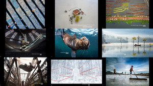 Environmental Photographer of the Year 2021 1