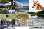Yellowstone.ppsx auf www.funpot.net